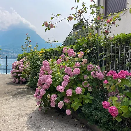 Il Melograno 1 With Access * Oliveto Lario